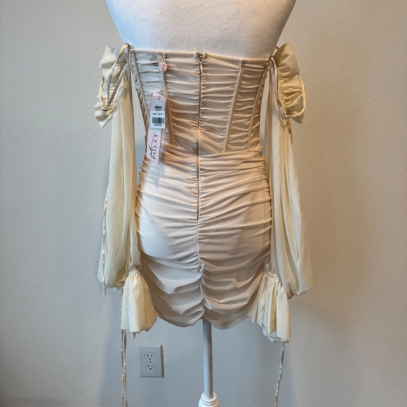 Oh Polly Sheer Mini Dress - Picture 3 of 4